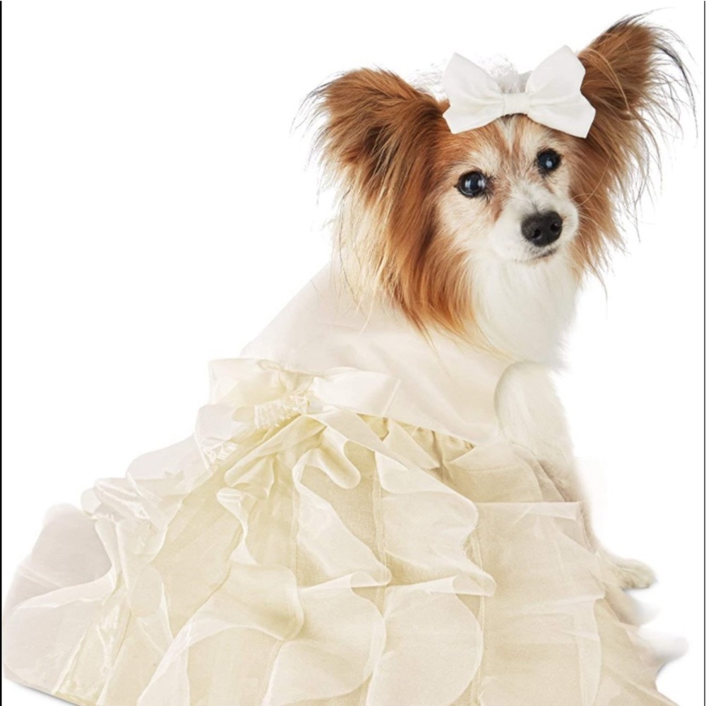 Sale! Wedding Dress & Veil Set for Small Dogs